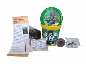 Набор для выращивания растений - Пион древовидный (Зеленый Капитал, zk-007)